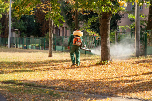 Best Pest Inspection Near Me  in Hawaiian Acres, HI